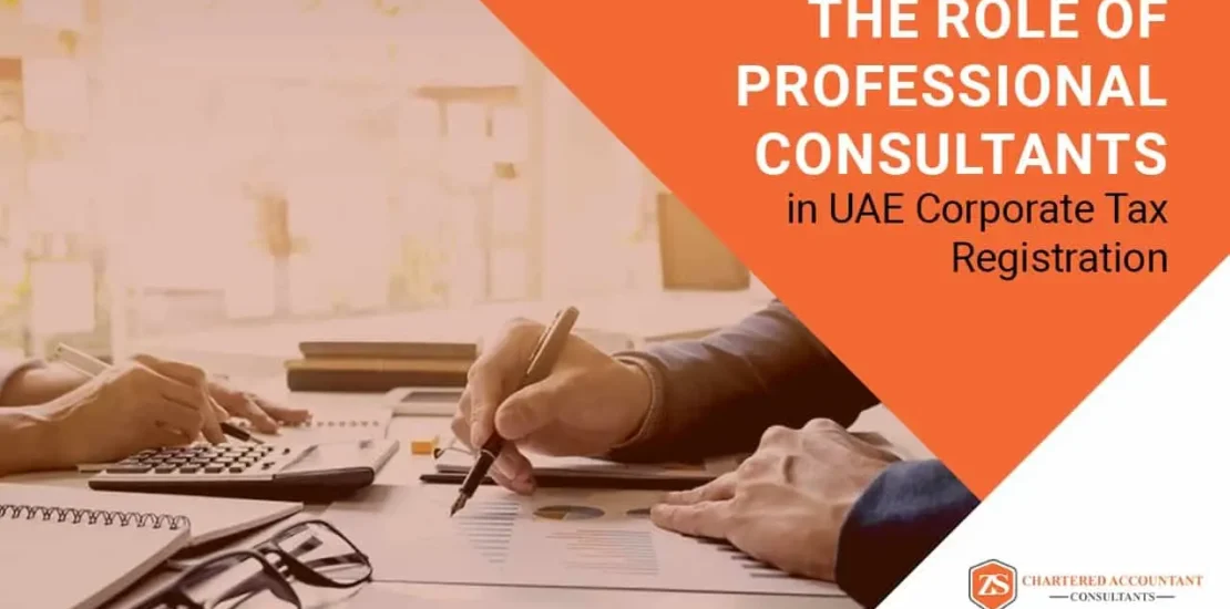 Role of Professional Consultants in UAE Corporate Tax Registration