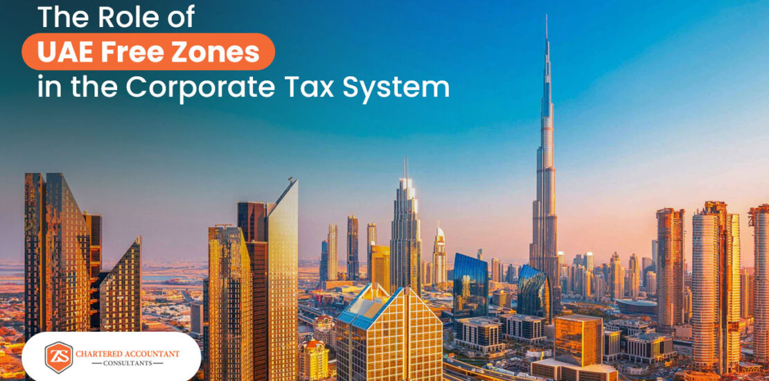 UAE free zone system