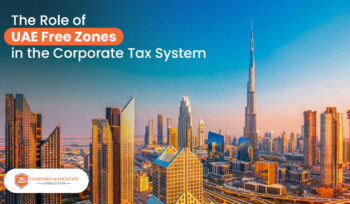 UAE free zone system