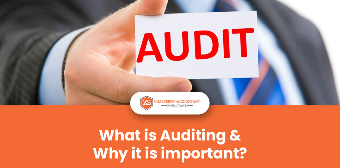 what-is-auditing