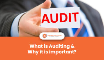 what-is-auditing