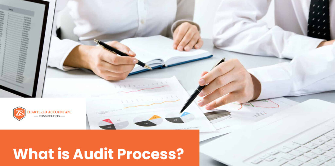 audit process