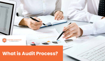 audit process